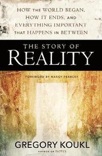 The Story of Reality (hftad)