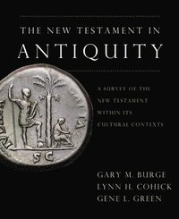 New Testament in Antiquity (e-bok)