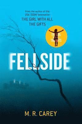 Fellside (hftad)