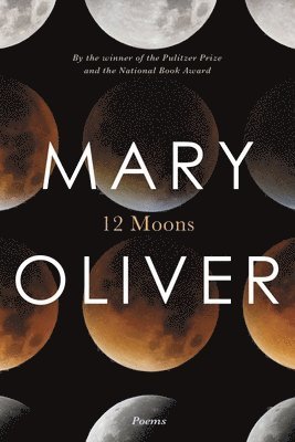 Twelve Moons (hftad)