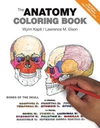 Anatomy Coloring Book The Wynn Kapit Haftad 9780321832016 Bokus