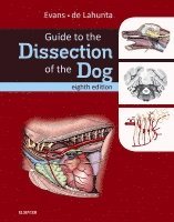 Guide to the Dissection of the Dog (h�ftad)