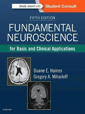 Fundamental Neuroscience for Basic and Clinical Applications (inbunden)