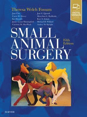 Small Animal Surgery (häftad)