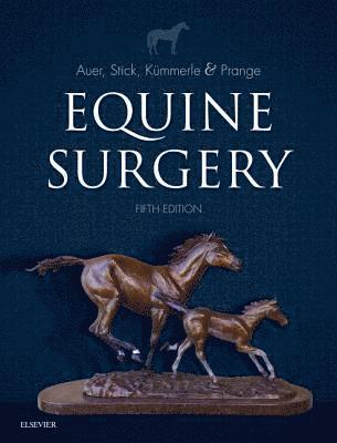 Equine Surgery (inbunden)