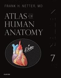 Atlas of Human Anatomy, Professional Edition (inbunden)