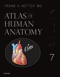 Atlas Human Anatomy Frank Netter