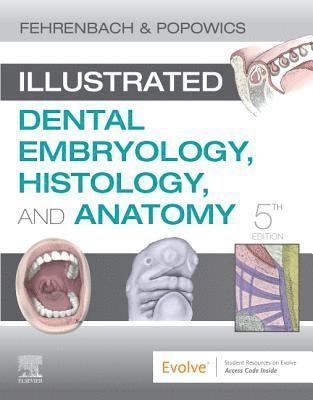 Illustrated Dental Embryology, Histology, and Anatomy (hftad)
