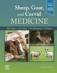 Sheep, Goat, and Cervid Medicine (inbunden)