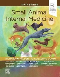 Small Animal Internal Medicine - Richard W Nelson - Bok (9780323676946