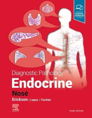 Diagnostic Pathology: Endocrine (inbunden)