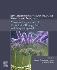 Development in Wastewater Treatment Research and Processes (e-bok)