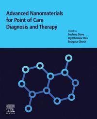Advanced Nanomaterials for Point of Care Diagnosis and Therapy (e-bok)
