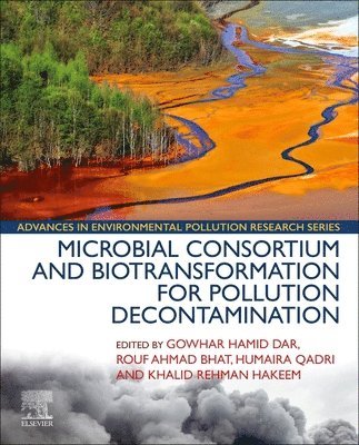 Microbial Consortium and Biotransformation for Pollution Decontamination (inbunden)