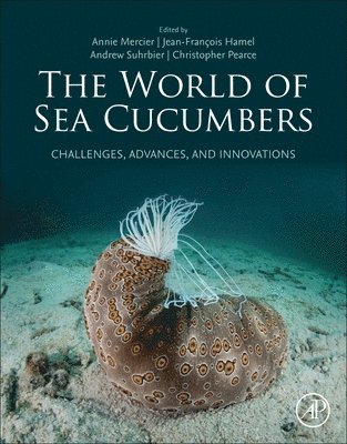 World of Sea Cucumbers (inbunden)