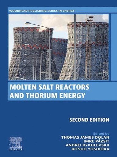 Molten Salt Reactors and Thorium Energy (häftad)