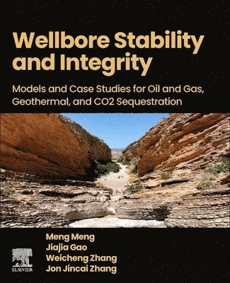 Wellbore Stability and Integrity (h�ftad)