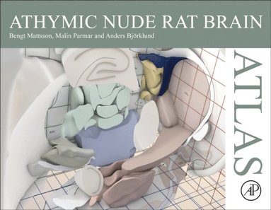 Athymic Nude Rat Brain Atlas (inbunden)
