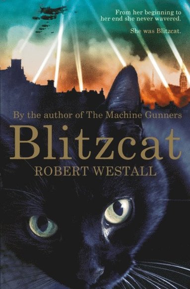 Blitzcat (e-bok)