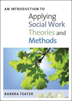 An Introduction To Applying Social Work Theories And Methods - Barbra ...