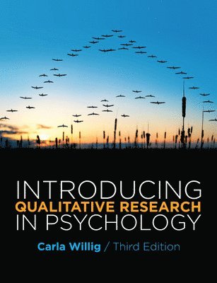 Introducing Qualitative Research in Psychology (häftad)