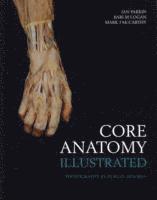 Core Anatomy - Illustrated (hftad)