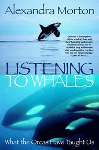 Listening to Whales (hftad)