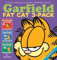 Garfield Fat Cat 3-Pack #1 (hftad)