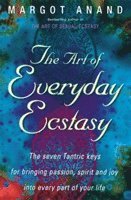 The Art Of Everyday Ecstasy (hftad)