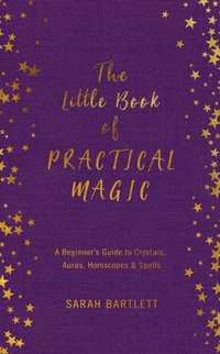 Little Book of Practical Magic (e-bok)