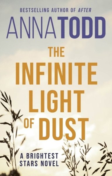 Infinite Light of Dust (inbunden)