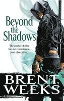 Beyond The Shadows (hftad)