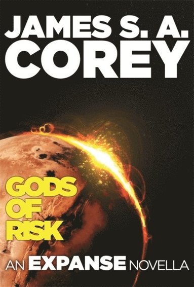 Gods of Risk (häftad)