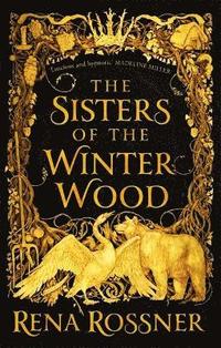 The Sisters of the Winter Wood (hftad)
