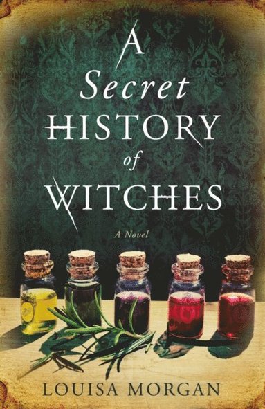 Secret History of Witches (e-bok)