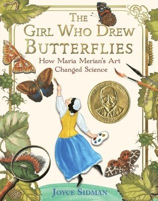 The Girl Who Drew Butterflies (hftad)