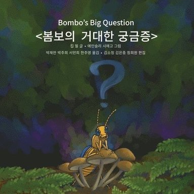 Bombo's Big Question (hftad)
