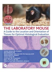 The Laboratory Mouse (inbunden)