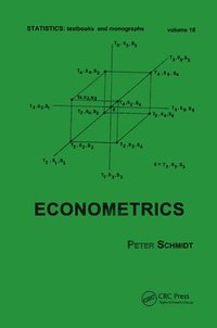 Econometrics (häftad)