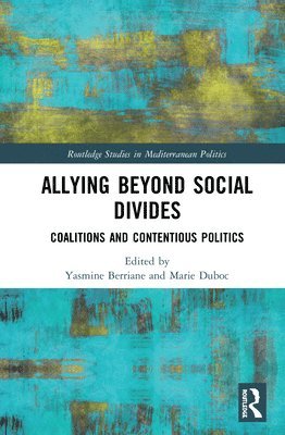 Allying beyond Social Divides (inbunden)