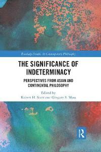 The Significance of Indeterminacy (häftad)