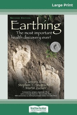 Earthing (häftad)