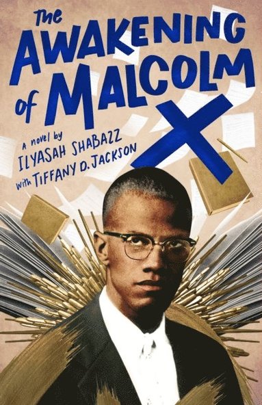Awakening of Malcolm X (e-bok)