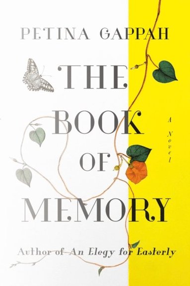 Book of Memory (e-bok)
