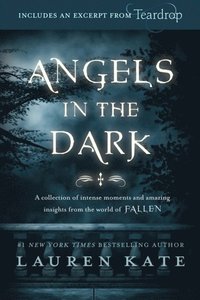 Fallen: Angels in the Dark (e-bok)