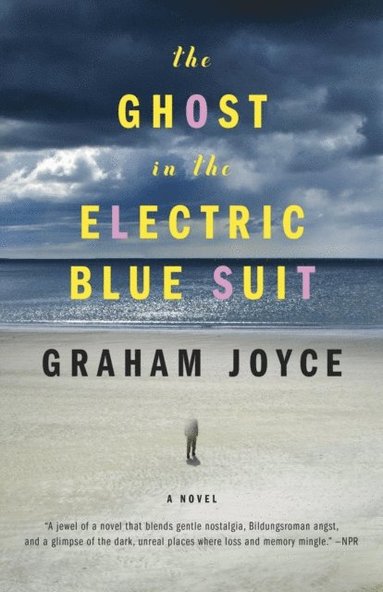 Ghost in the Electric Blue Suit (e-bok)