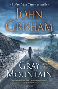 Gray Mountain (e-bok)