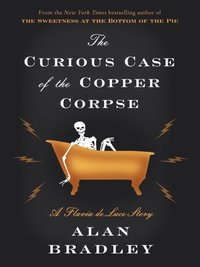Curious Case of the Copper Corpse (e-bok)