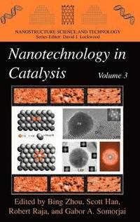 Nanotechnology in Catalysis 3 (inbunden)