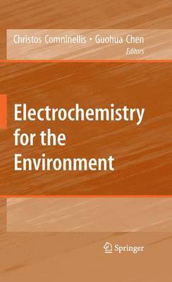 Electrochemistry for the Environment (inbunden)